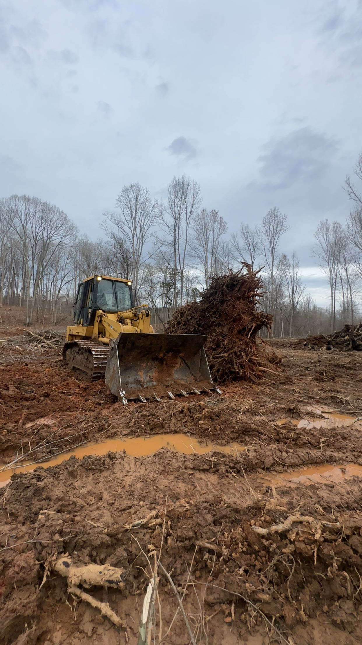 A bulldozer on muddy ground moves a large uprooted tree in a clearing with leafless trees in the background under a cloudy sky.